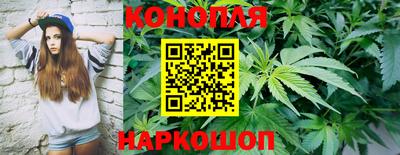 дурь Кингисепп