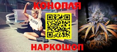 дурь Кингисепп