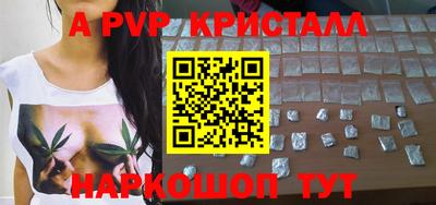 дурь Кингисепп